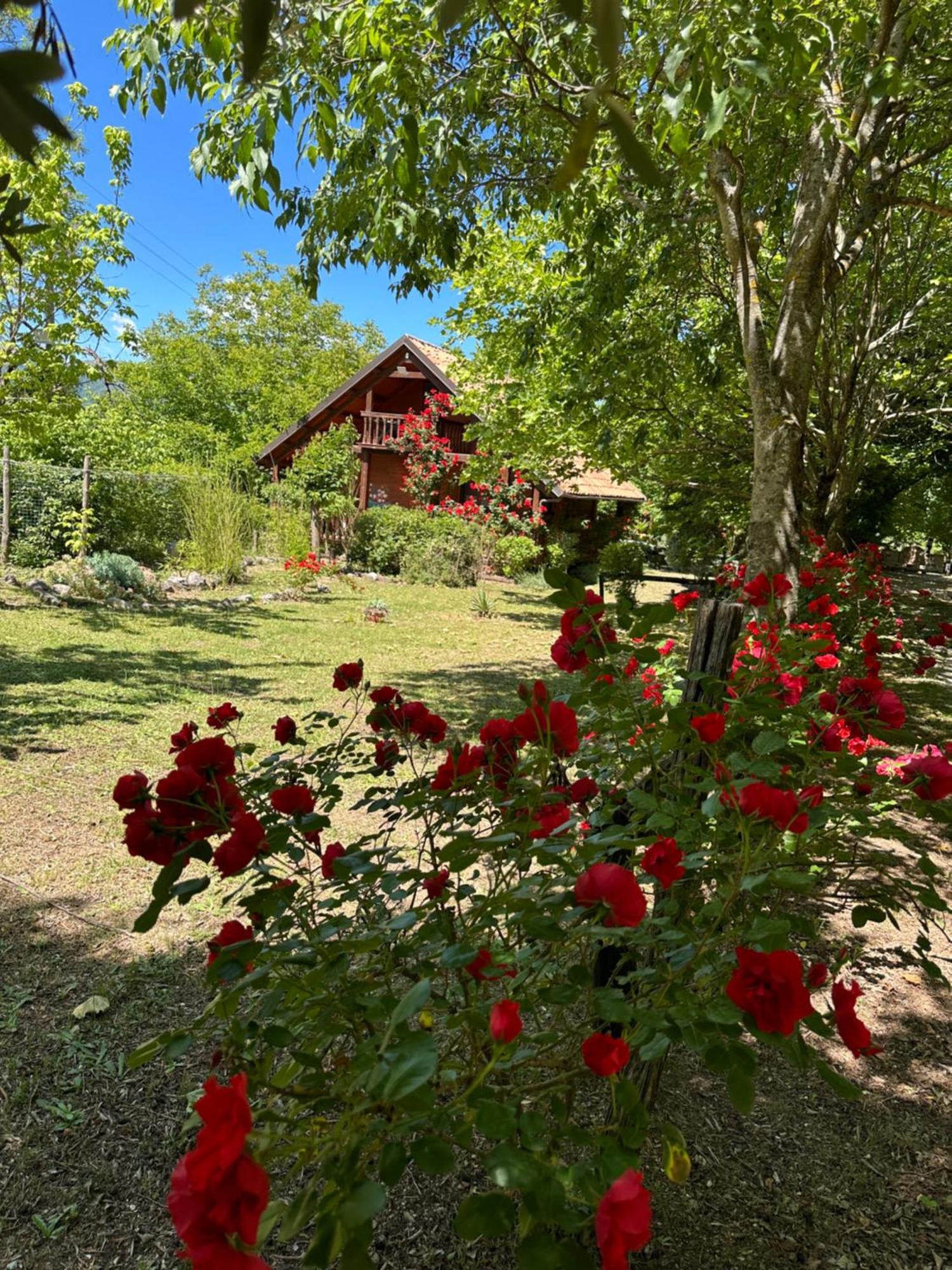 Ciclopark Morano Calabro Villa Екстериор снимка