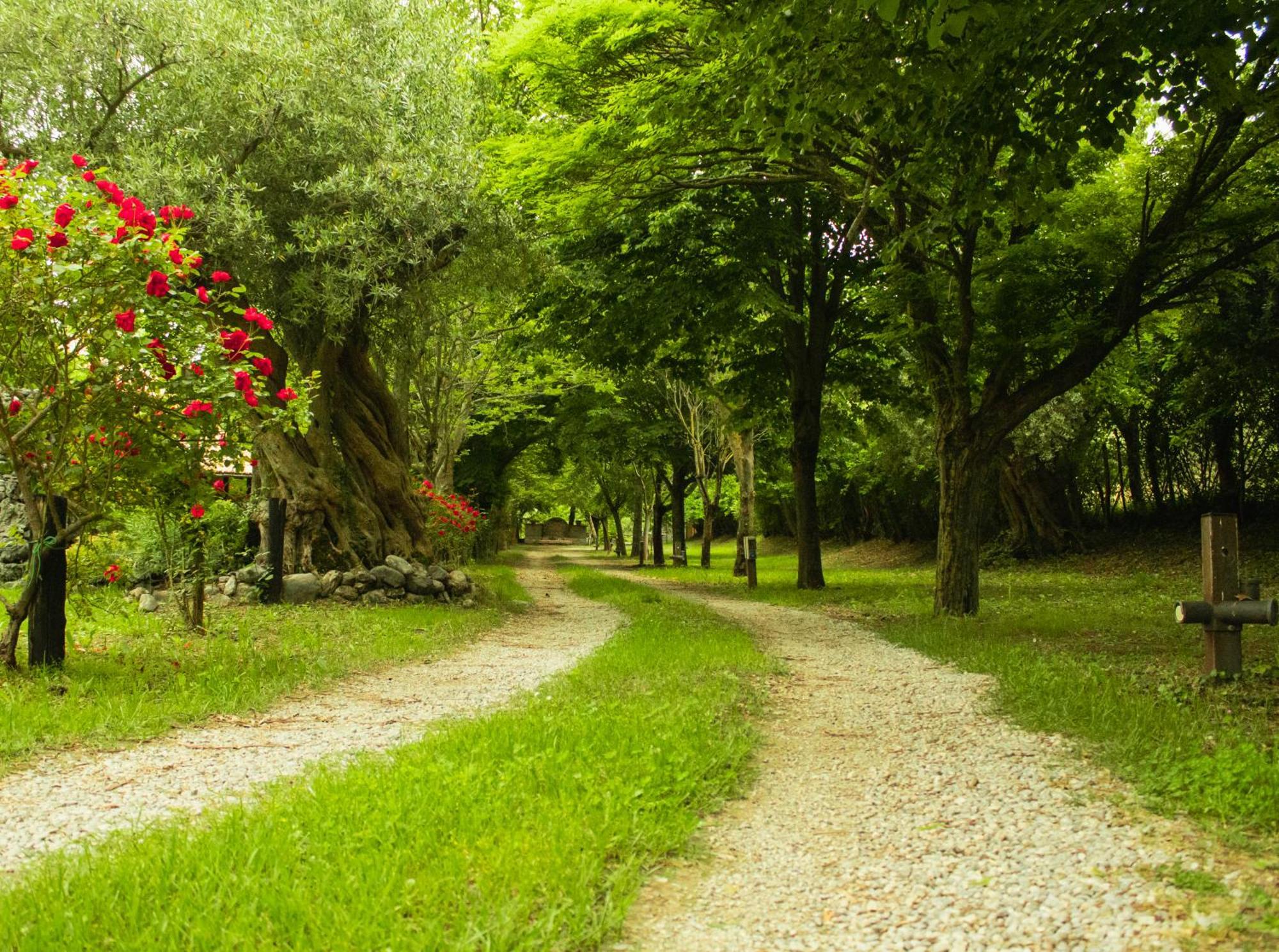 Ciclopark Morano Calabro Villa Екстериор снимка